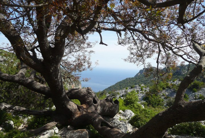 AMBIENTE, Assessore Spano: “Nuovo iter per il Parco regionale di Monte Arci”. Incontro dell’Assessore coi sindaci del territorio