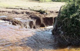 AGRICOLTURA, Richiesto stato di calamità naturale per Comuni colpiti dai recenti nubifragi: danni ingenti alle coltivazioni