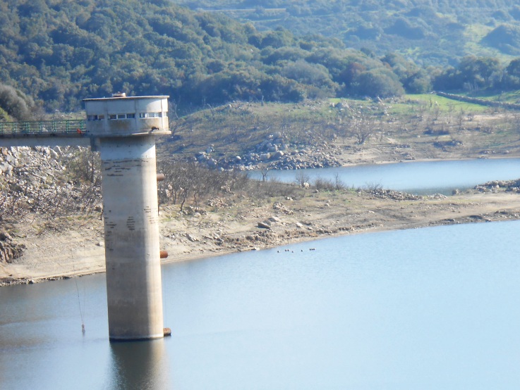 GALLURA, Marrone (Consorzio di Bonifica): “Si preannuncia un’estate di restrizioni idriche”