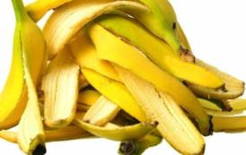 CAESAR, Le ‘bucce di banana’ dell’aspirante Governatore Puddu