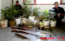 BARISARDO, Arrestato pregiudicato: coltivava marijuana e possedeva armi e munizioni