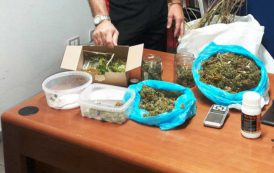 SANT’ANTIOCO, Coltivavano marijuana in mansarda: arrestati due 21enni incensurati
