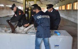 CAGLIARI, Sequestrati 400 chili di hashish, valore circa 3 milioni: arrestato imprenditore piemontese (VIDEO)