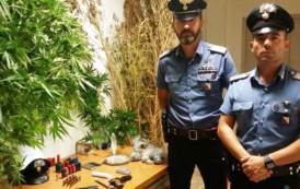 GUSPINI, Piante di canapa, marijuana e munizioni in casa: arrestato 50enne