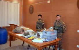 ORGOSOLO, Aveva nascosto quasi 3 chili di marijuana vicino al suo ovile: arrestato pastore 30enne