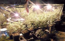 SAN GIOVANNI SUERGIU, Appartamento come serra per coltivare cannabis e centrale di spaccio: arrestato 24enne