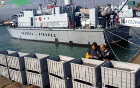 CAGLIARI, Sequestrate oltre tre tonnellate e mezzo di oloturie provenienti da zona ‘non autorizzata’