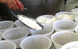 Riflessioni intorno al sequestro del formaggio rumeno (Romano Satolli)