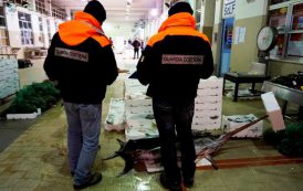 CAGLIARI, Confiscati 7 quintali di pesce privi di documentazione sulla provenienza: multa di 3.000 euro
