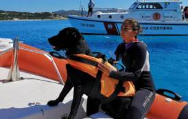 VILLASIMIUS, Guardia costiera in esercitazione coi cani della Scuola di Salvataggio