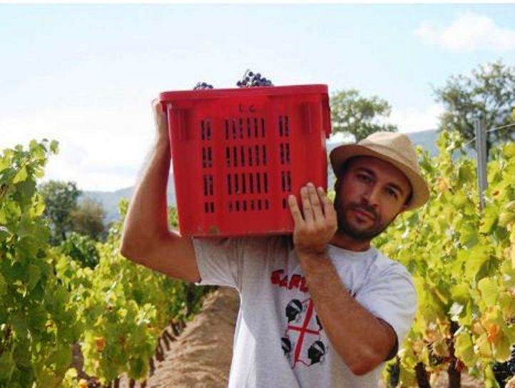 MAMOIADA, Luca Gungui, giovane imprenditore vitivinicolo: “Nella nostra azienda produciamo Cannonau di nicchia”