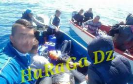 ANDY CAPP, Su Facebook “HaRaGa Dz”: tour operator degli algerini che arrivano in Sardegna