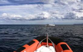 SINISCOLA, Tratta in salvo a La Caletta imbarcazione svizzera con due bambini a bordo