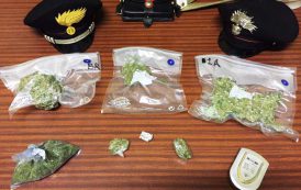 TORTOLI’, Coltivava e spacciava droga: arrestato 41enne