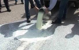 RIVOLTA LATTE, Cicu: “Proteggere settore lattiero-caseario ristabilendo equità all’interno dell’Unione europea”