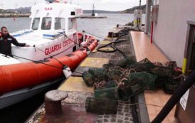 PESCA, Controlli nel nord Sardegna: sanzioni per 8.000 euro e 200 chili di ricci sequestrati