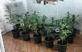 CAGLIARI, Coltivavano marijuana in casa e rubavano l’energia elettrica: arrestati due pregiudicati