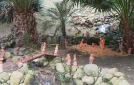 CAGLIARI, Presepe all’Orto Botanico realizzato dai tecnici e dai giardinieri dell’Università