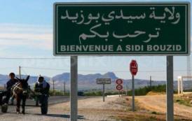 TUNISIA, Missione formativa a Sidi Bouzid rivolta a giovani allevatori tunisini