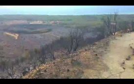 Il VIDEO dell’incendio a Santa Margherita di Pula: il giorno dopo