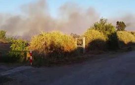 QUARTU SANT’ELENA, Il VIDEO dell’incendio a Molentargius
